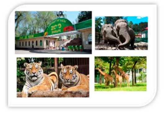 Зоопарк Алматы