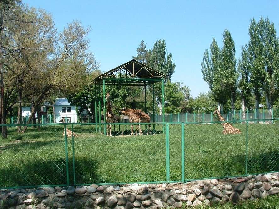 Алматинский зоопарк 2-07-23