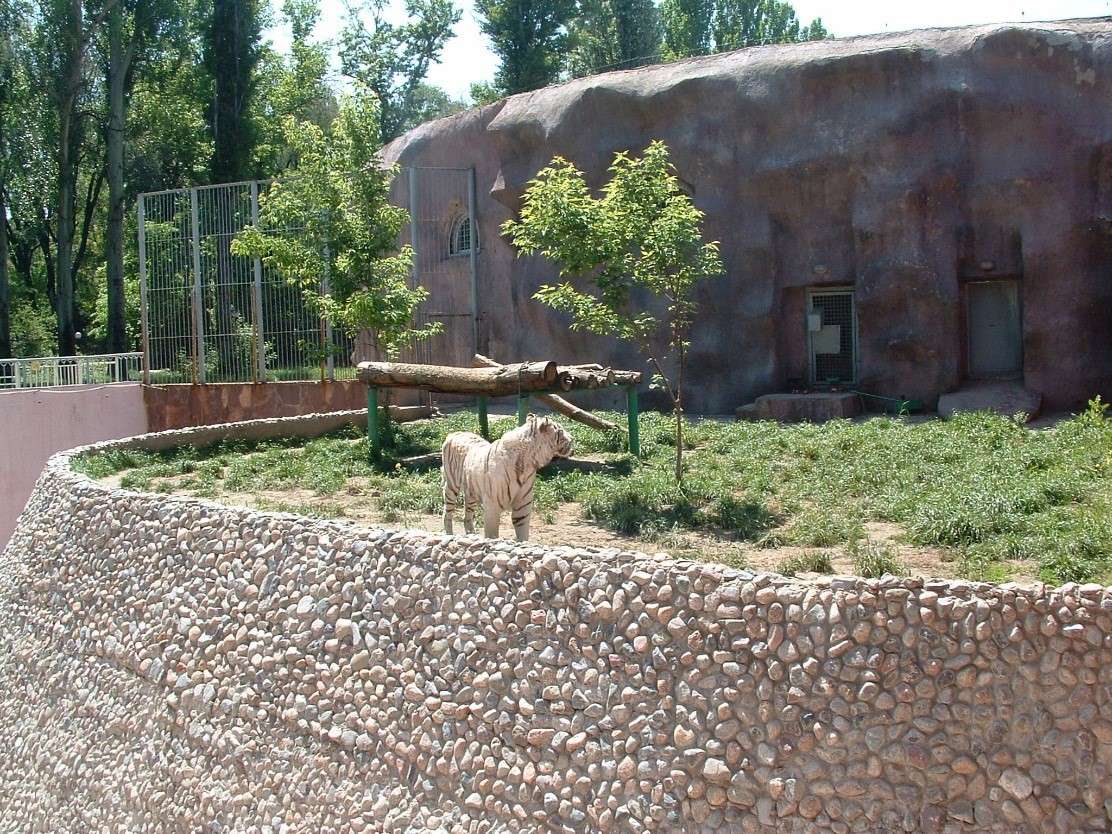 Almaty Zoo - ZooChat