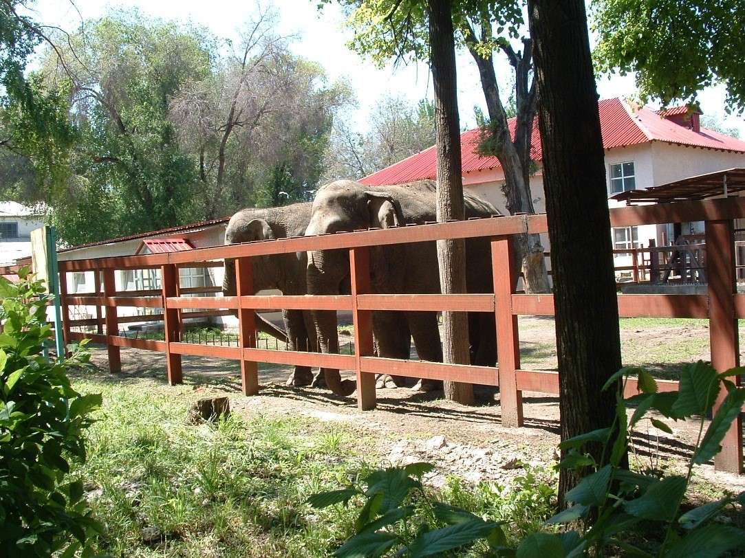Алматинский зоопарк 4-07-23