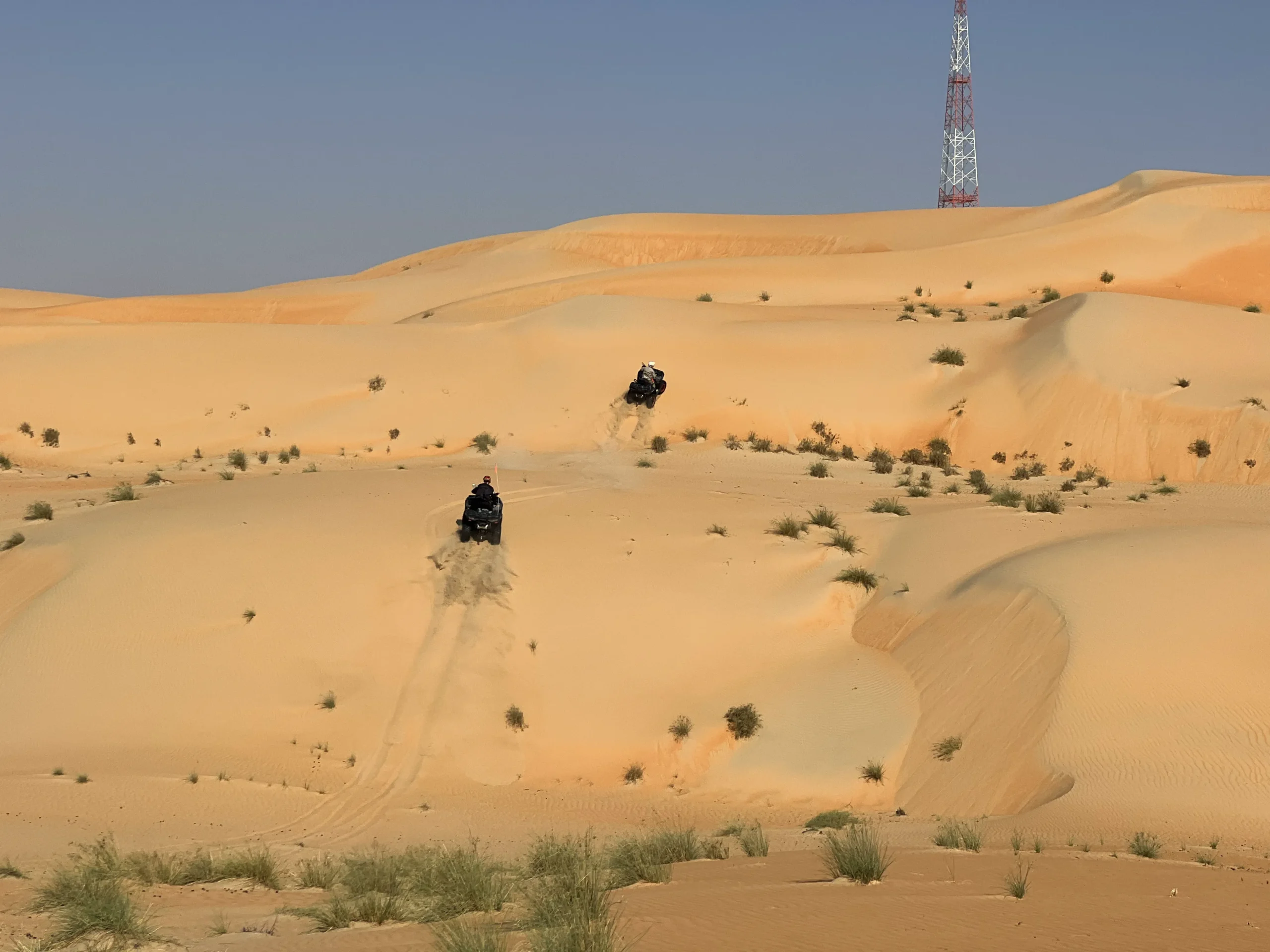 Скрытая жемчужина в сердце пустыни Оазис Liwa!