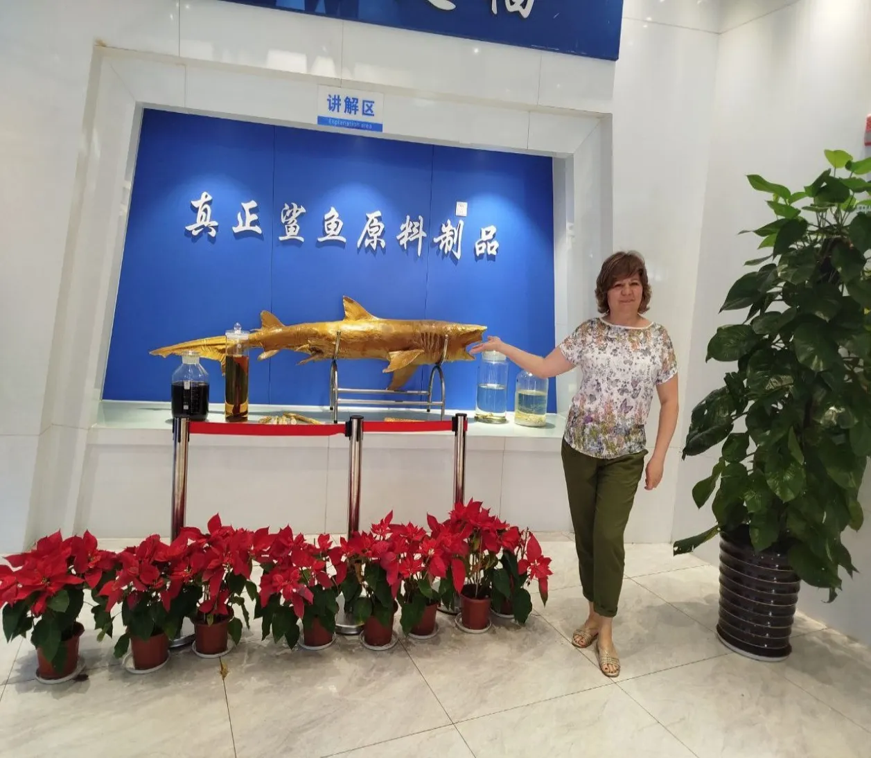 Хайнань_2025_11_8