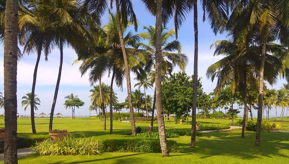 Happy_New_Year-2025-11-3