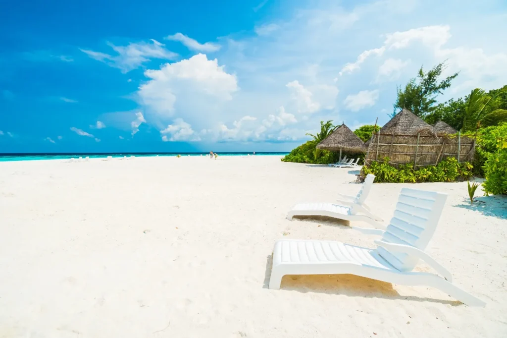 Happy_New_Year-2025-11-8