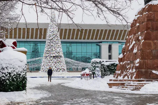 Алматы зимой-2026-01-11