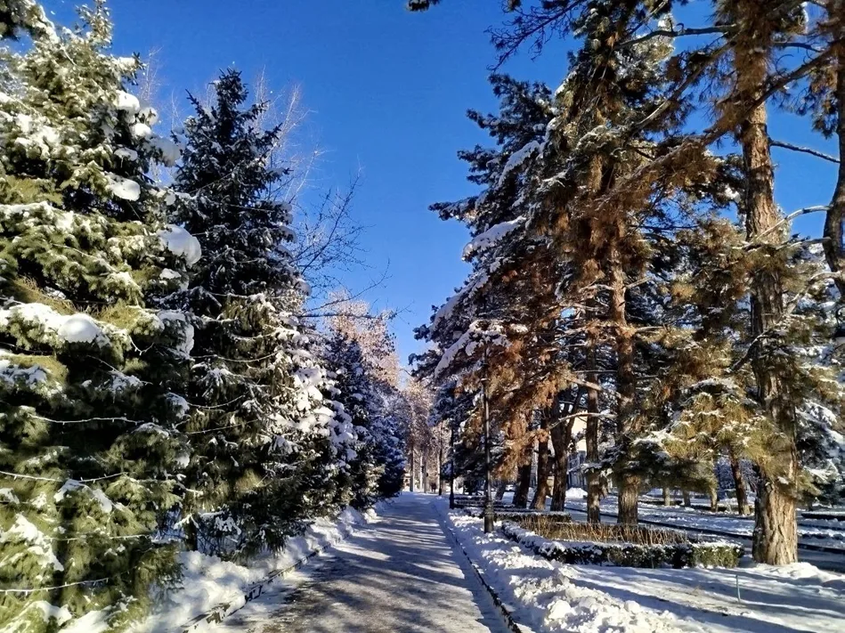Алматы зимой-2026-01-12