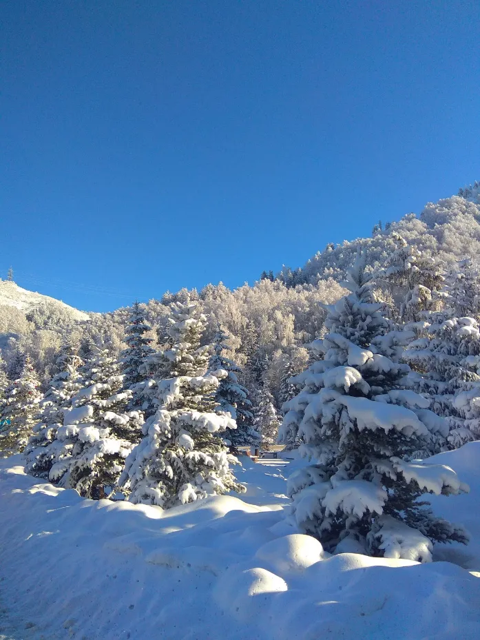 Алматы зимой-2026-01-2