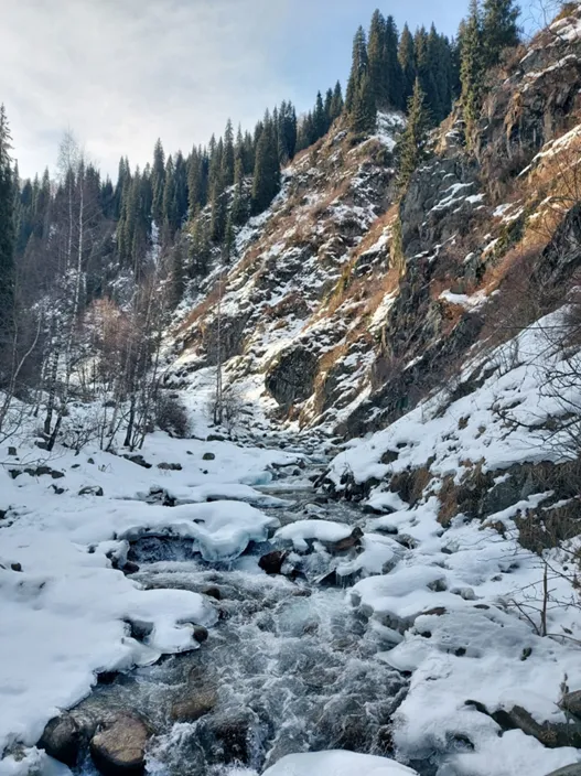 Алматы зимой-2026-01-9