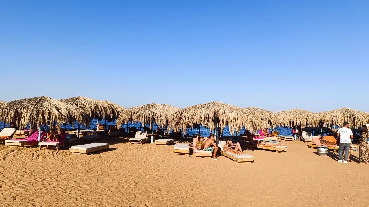 Важные новости по поездке в Египет